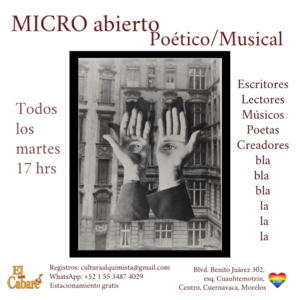 micro (2)